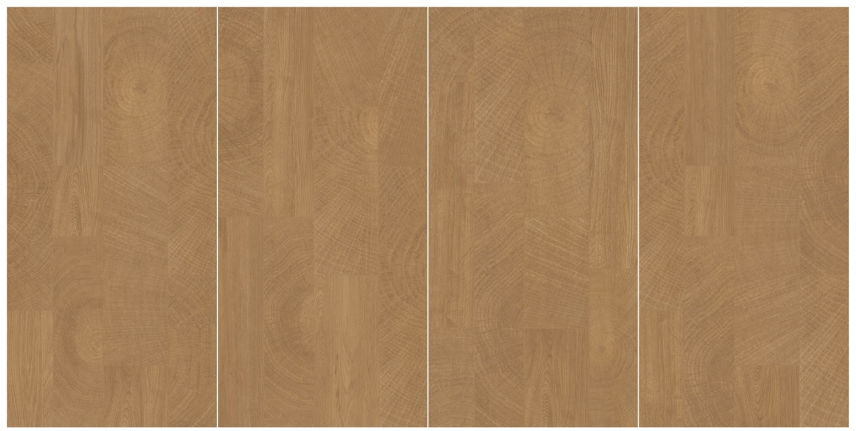 DM6N01A 时光年轮 浅色