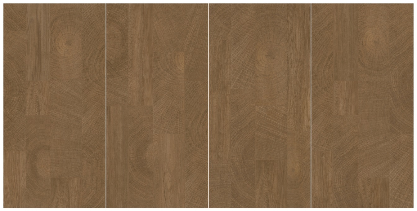 DM6N02A 时光年轮 深色